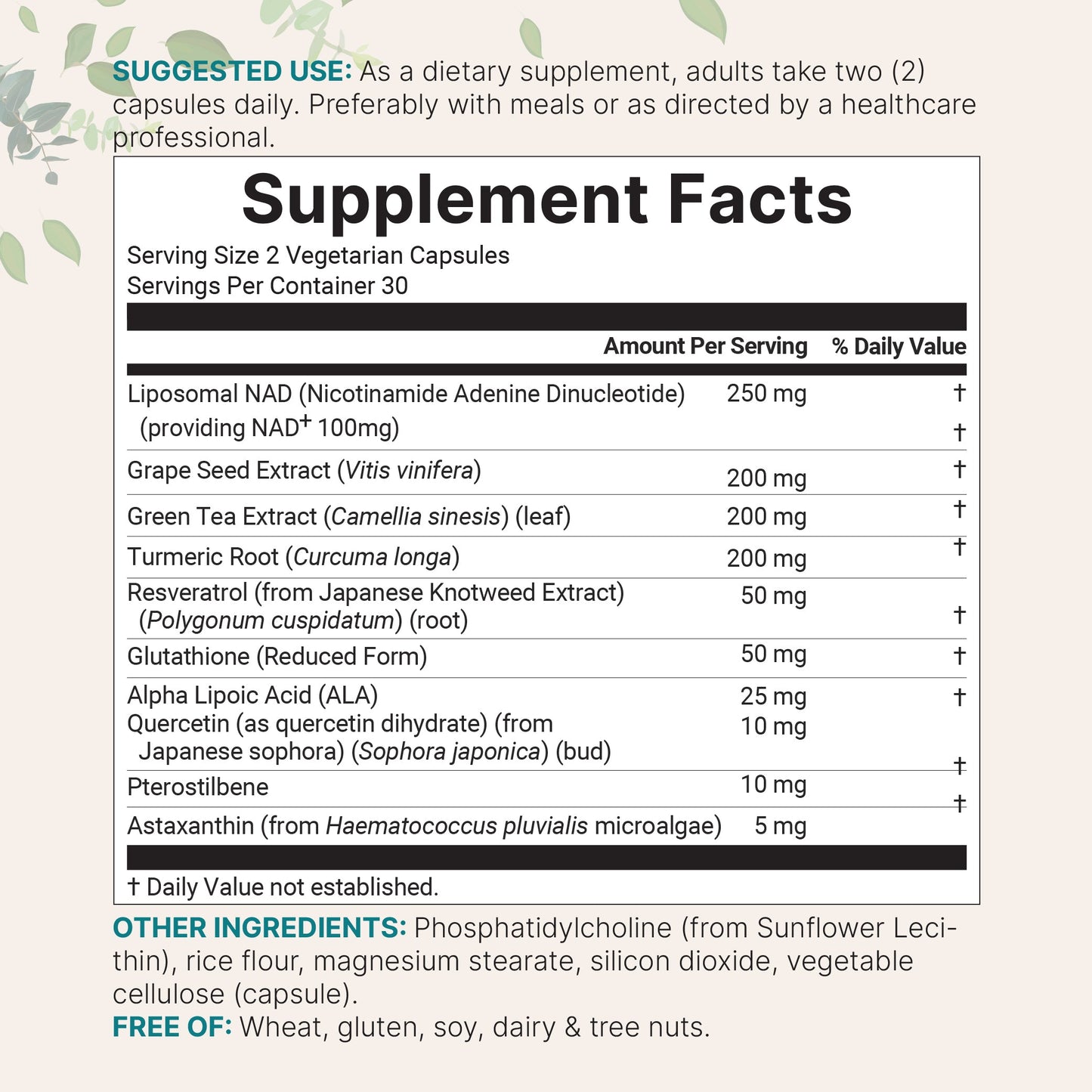 Micro Ingredients Liposomal NAD+ Ultimate 1,000mg, 60 Veggie Capsules
