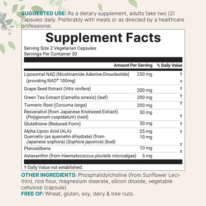 Micro Ingredients Liposomal NAD+ Ultimate 1,000mg, 60 Veggie Capsules